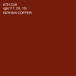 #751C0A - Kenyan Copper Color Image