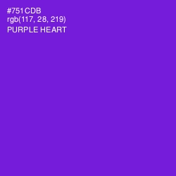 #751CDB - Purple Heart Color Image