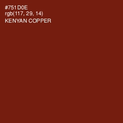 #751D0E - Kenyan Copper Color Image