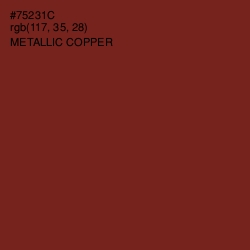 #75231C - Metallic Copper Color Image