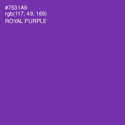 #7531A9 - Royal Purple Color Image