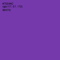 #7539AC - Royal Purple Color Image