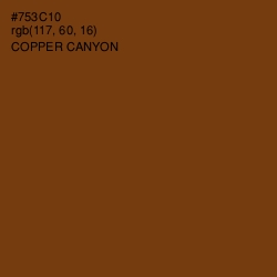 #753C10 - Copper Canyon Color Image