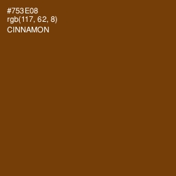 #753E08 - Cinnamon Color Image