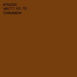 #753E0C - Cinnamon Color Image