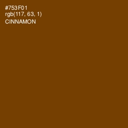 #753F01 - Cinnamon Color Image