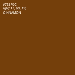 #753F0C - Cinnamon Color Image