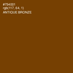 #754001 - Antique Bronze Color Image