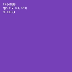 #7540B8 - Studio Color Image