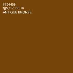 #754409 - Antique Bronze Color Image