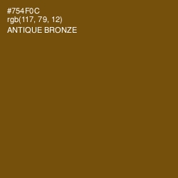 #754F0C - Antique Bronze Color Image