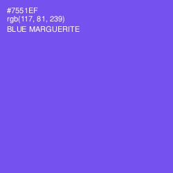 #7551EF - Blue Marguerite Color Image