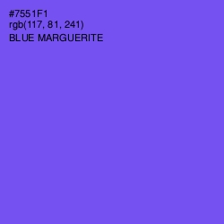 #7551F1 - Blue Marguerite Color Image