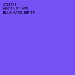 #7551F3 - Blue Marguerite Color Image