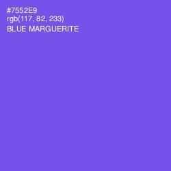 #7552E9 - Blue Marguerite Color Image