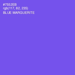 #7552EB - Blue Marguerite Color Image