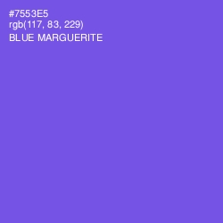 #7553E5 - Blue Marguerite Color Image