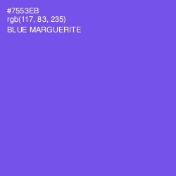 #7553EB - Blue Marguerite Color Image