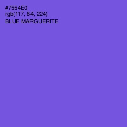 #7554E0 - Blue Marguerite Color Image