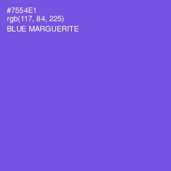 #7554E1 - Blue Marguerite Color Image