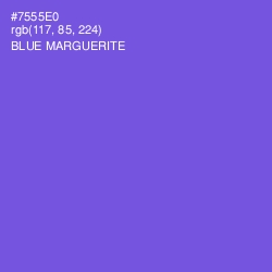 #7555E0 - Blue Marguerite Color Image