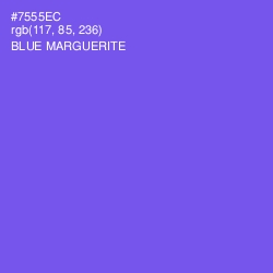 #7555EC - Blue Marguerite Color Image