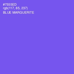 #7555ED - Blue Marguerite Color Image