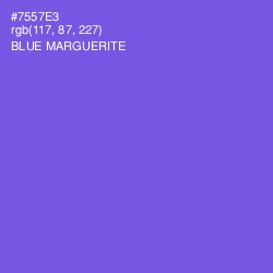 #7557E3 - Blue Marguerite Color Image