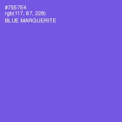 #7557E4 - Blue Marguerite Color Image