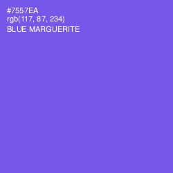 #7557EA - Blue Marguerite Color Image