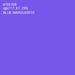 #7557EB - Blue Marguerite Color Image