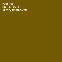 #755A06 - Antique Bronze Color Image