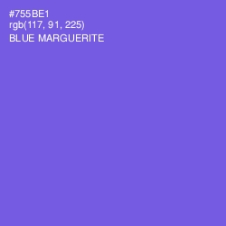 #755BE1 - Blue Marguerite Color Image