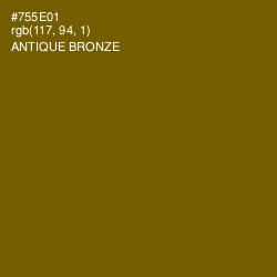 #755E01 - Antique Bronze Color Image