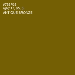 #755F05 - Antique Bronze Color Image