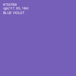 #755FB8 - Blue Violet Color Image