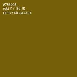 #756008 - Spicy Mustard Color Image