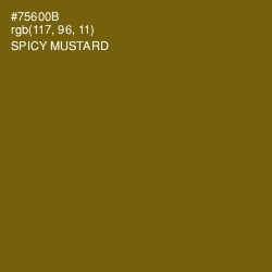 #75600B - Spicy Mustard Color Image