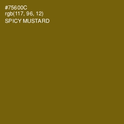 #75600C - Spicy Mustard Color Image