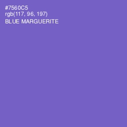 #7560C5 - Blue Marguerite Color Image