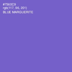 #7560C9 - Blue Marguerite Color Image