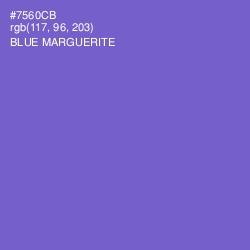 #7560CB - Blue Marguerite Color Image