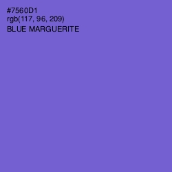 #7560D1 - Blue Marguerite Color Image