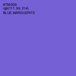 #7560D6 - Blue Marguerite Color Image