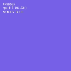 #7560E7 - Moody Blue Color Image