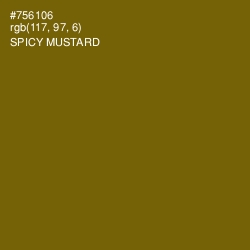 #756106 - Spicy Mustard Color Image