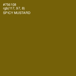#756108 - Spicy Mustard Color Image