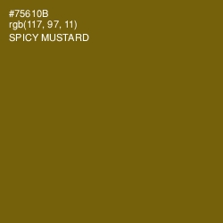 #75610B - Spicy Mustard Color Image
