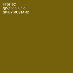 #75610C - Spicy Mustard Color Image