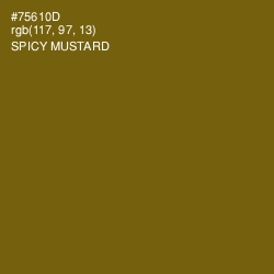 #75610D - Spicy Mustard Color Image